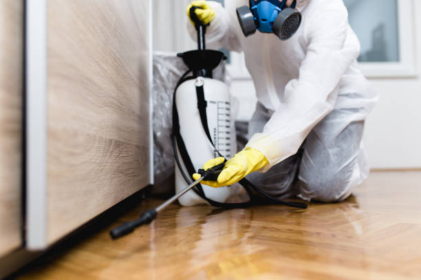 Best Termite Control Services  in Draper, UT