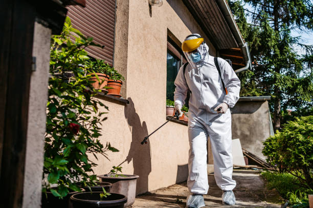 Best Pest Control for Homes  in Draper, UT