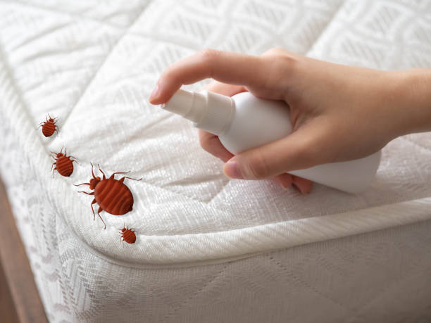 Reliable Draper, UT Pest Control Solutions