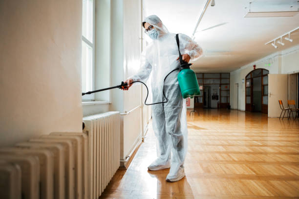 Best Termite Control Services  in Draper, UT