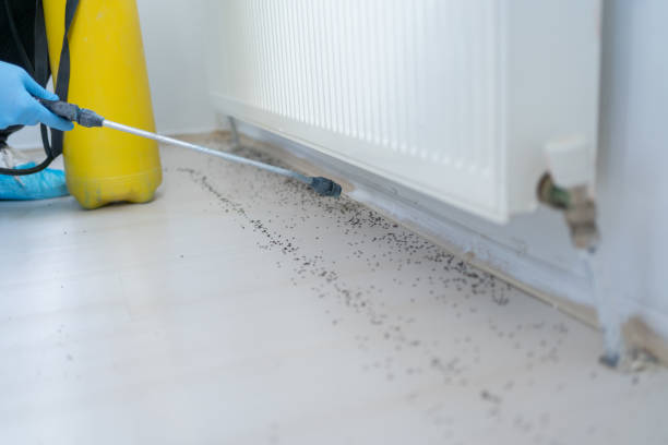 Best Rat Extermination Near Me  in Draper, UT