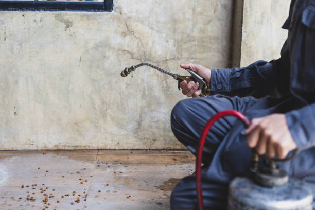 Best Mosquito Control Services  in Draper, UT